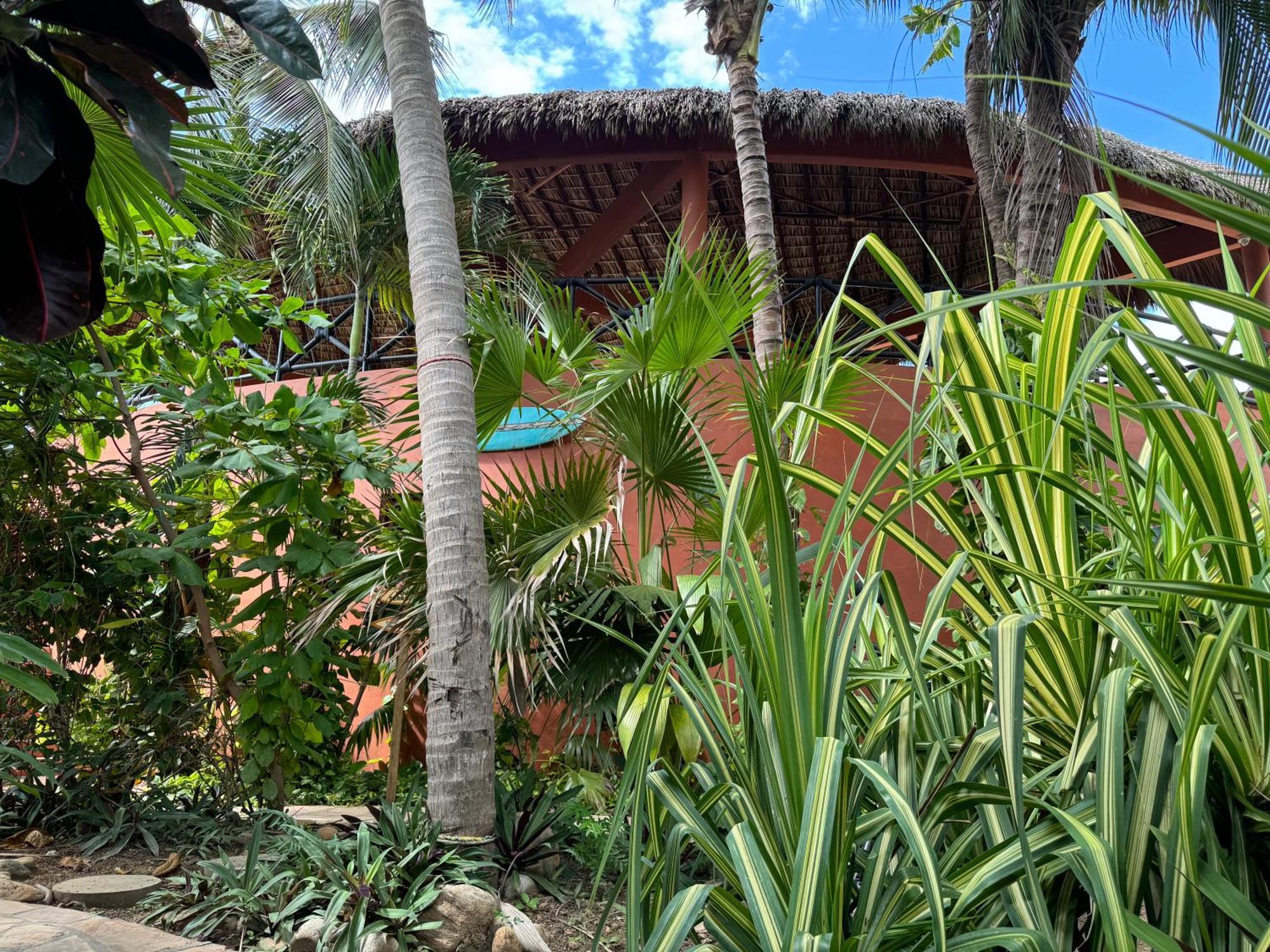 One Love Hostal Puerto Escondido Exteriér fotografie