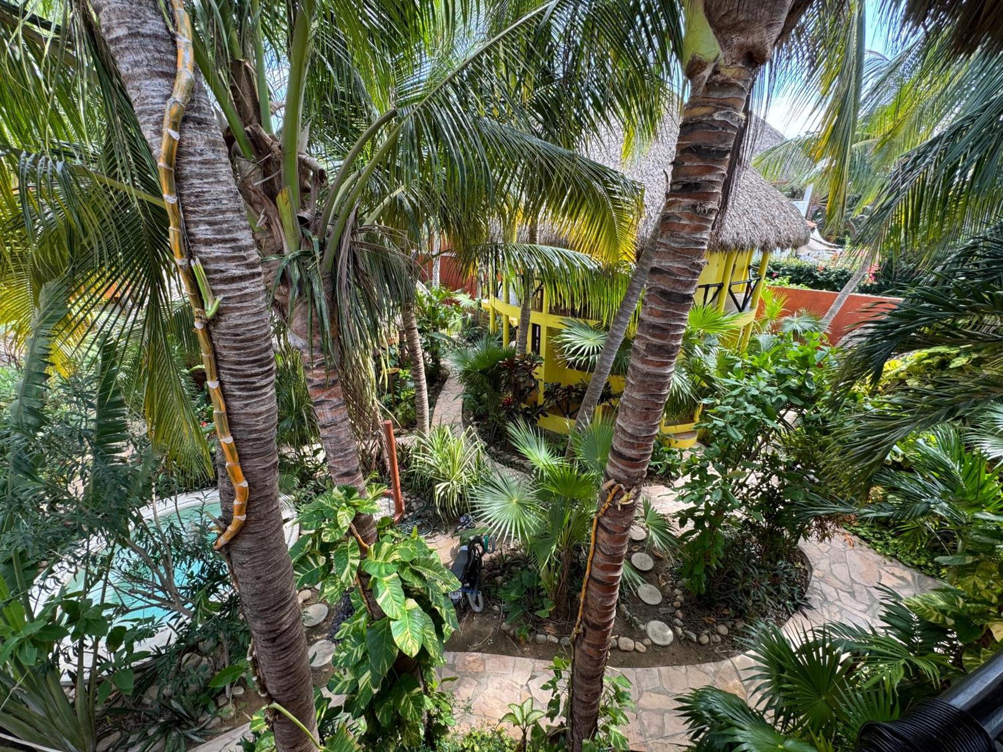 One Love Hostal Puerto Escondido Exteriér fotografie