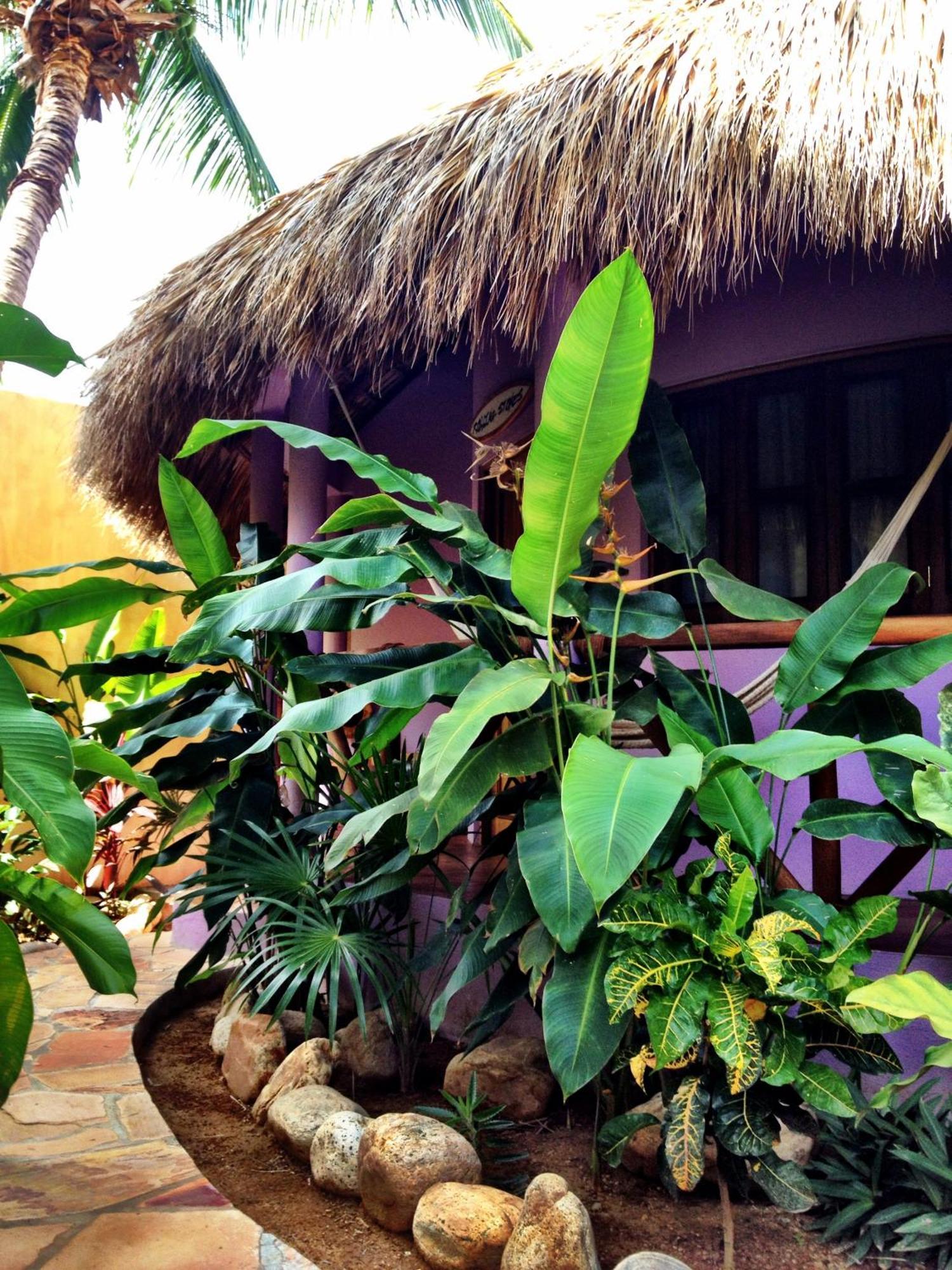 One Love Hostal Puerto Escondido Pokoj fotografie